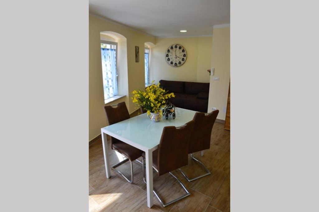 Old Town Apartment Popovic ヴルサル エクステリア 写真