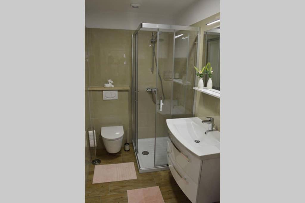 Old Town Apartment Popovic ヴルサル エクステリア 写真